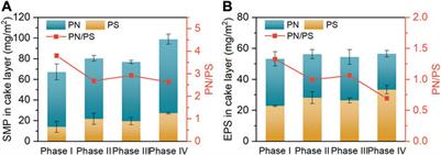 Evaluation of selenite reduction under salinity and sulfate stress in anaerobic membrane bioreactor